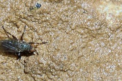new-20230910_094451
