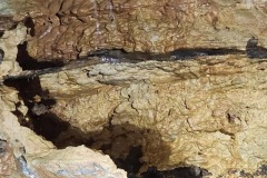 new-20230910_103355